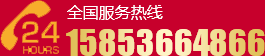 152-1646-0700